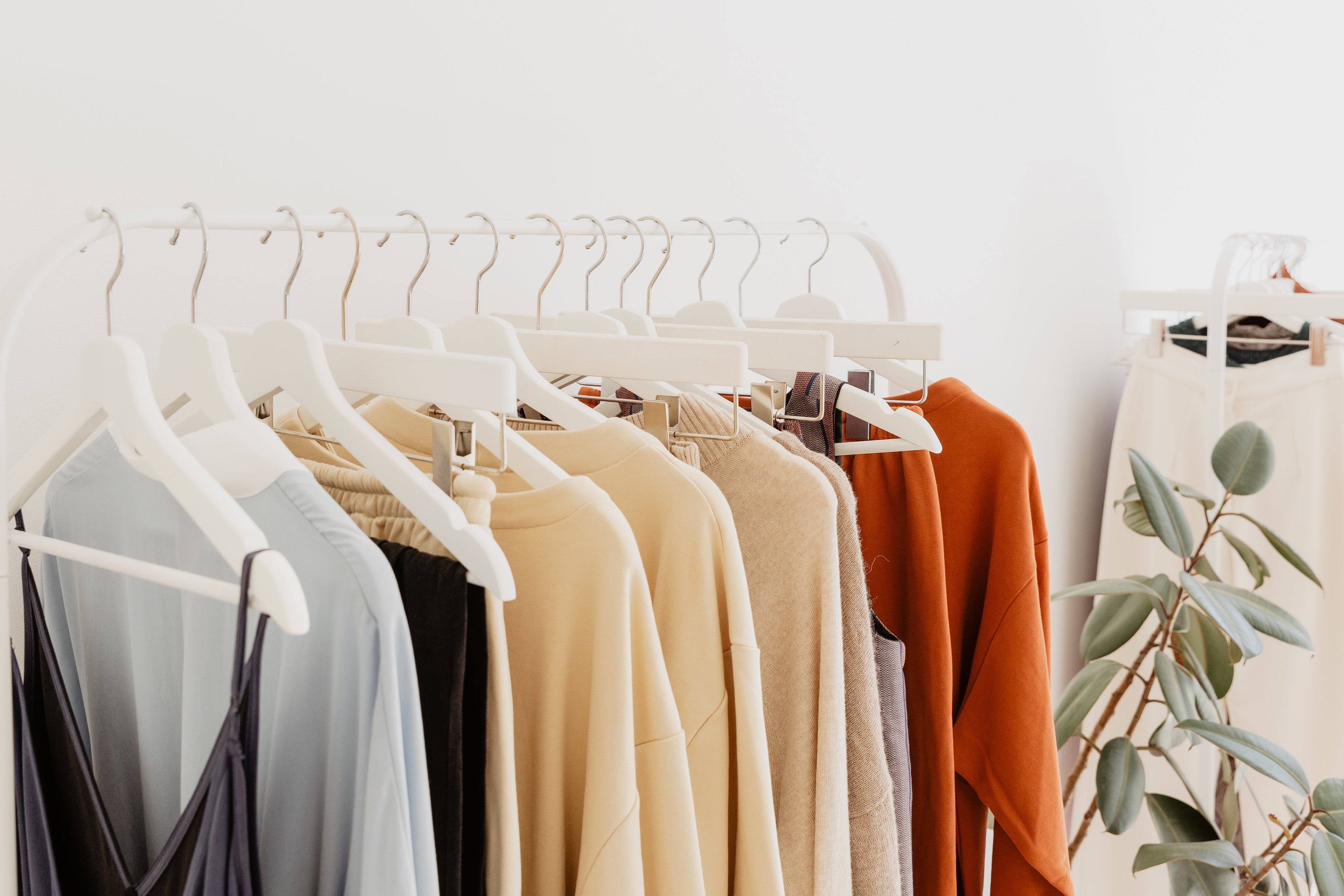 fashionable white clothing racks with white clothes hangers displaying fashionable woman's apparel with a ficus plant in the background
